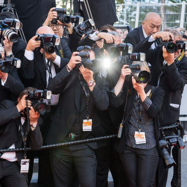 bloc-bon-plan-festival-cannes-2015palais-herve-fabre-72-1920x780-1.jpg