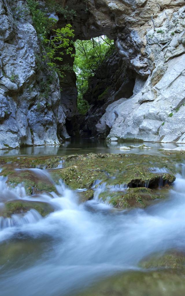 naturentdeckung grasse