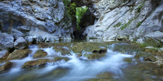 découverte nature grasse