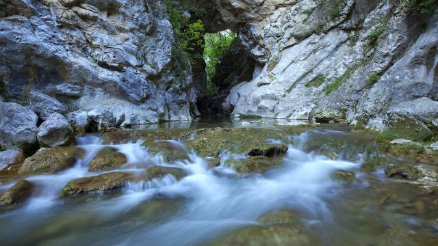 découverte nature grasse