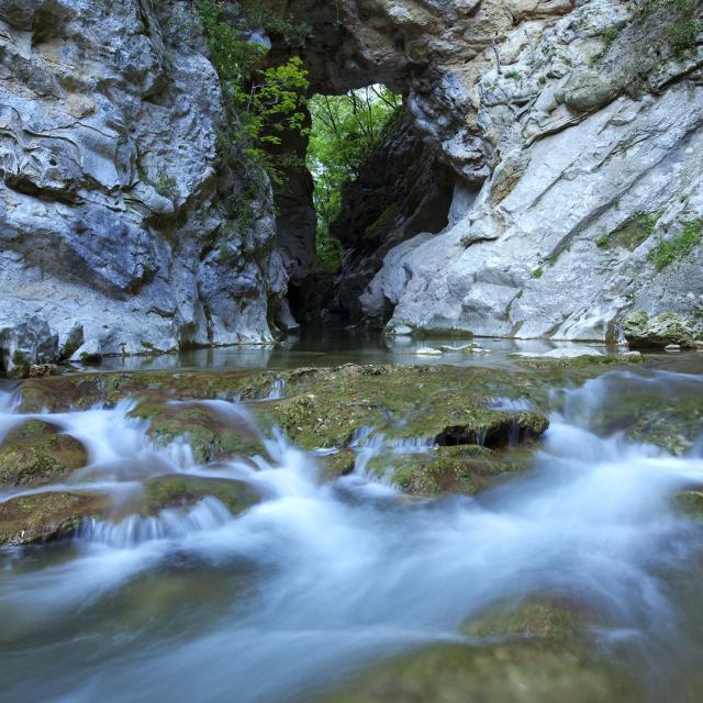 découverte nature grasse