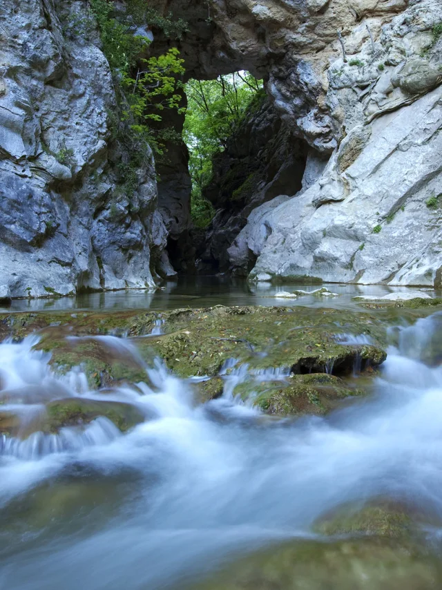 découverte nature grasse