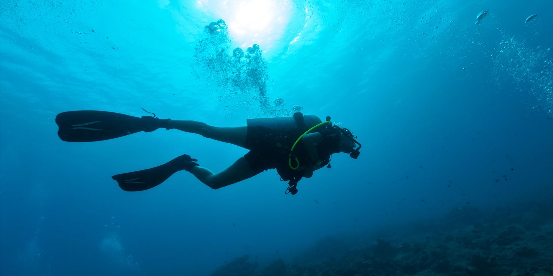 All diving activities on the Côte d’Azur | Côte d’Azur France / French ...