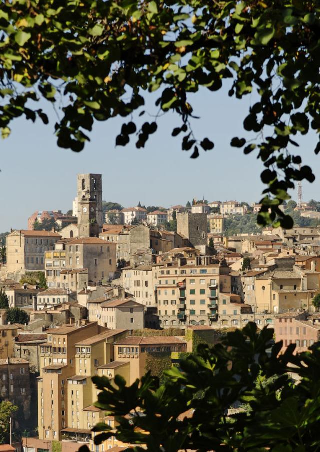 Grasse