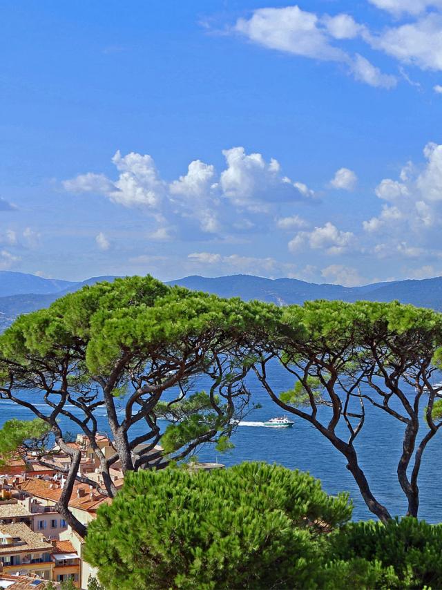 Saint-Tropez village