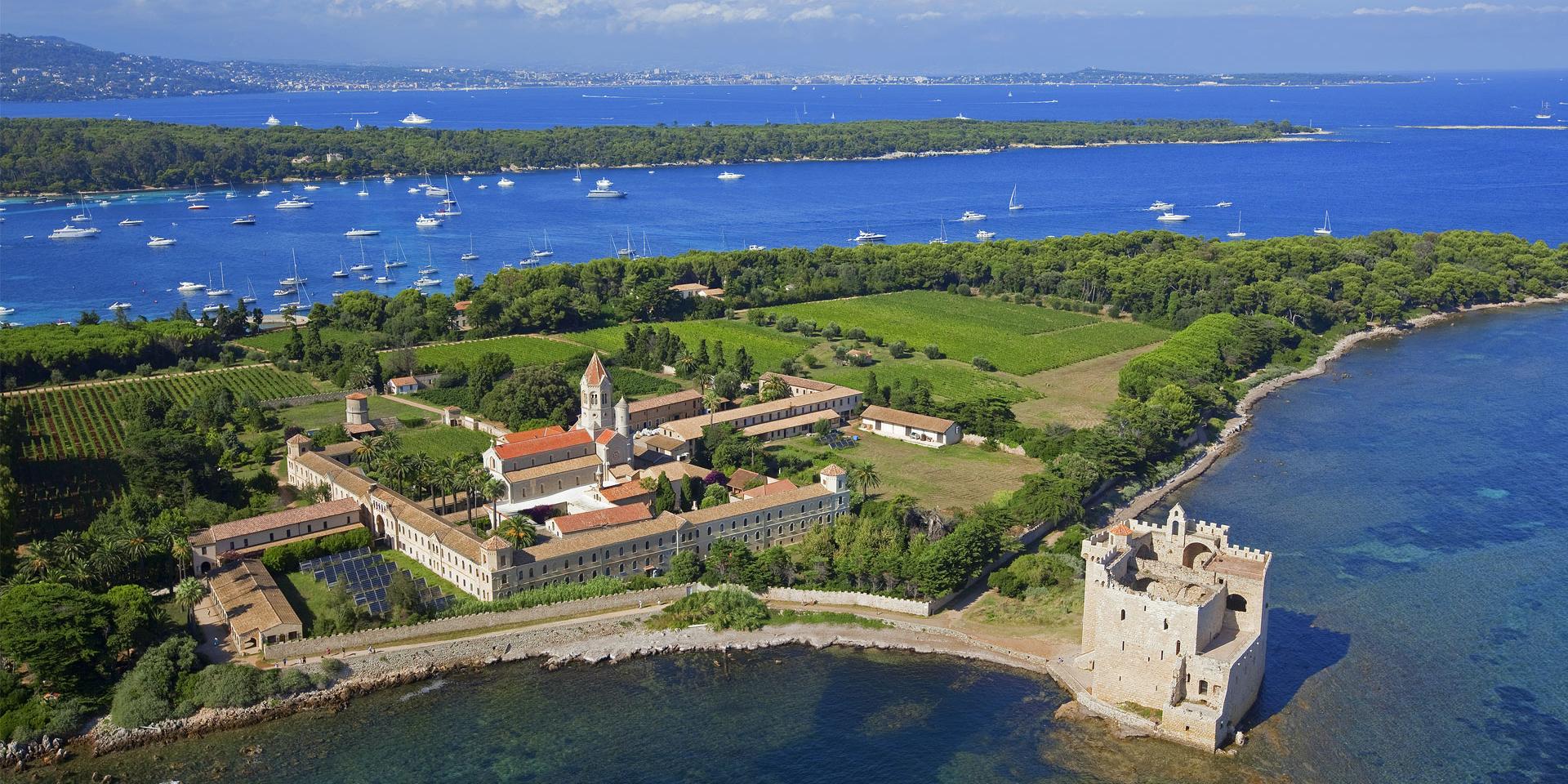 ランキング第1位 Discover Cannes | Saint-Honorat ile 絵画