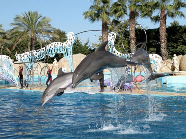 Copy Marineland 557x400 1