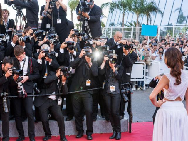 route-cinema-cannes-2015palais-herve-fabre-72-557x400-1.jpg