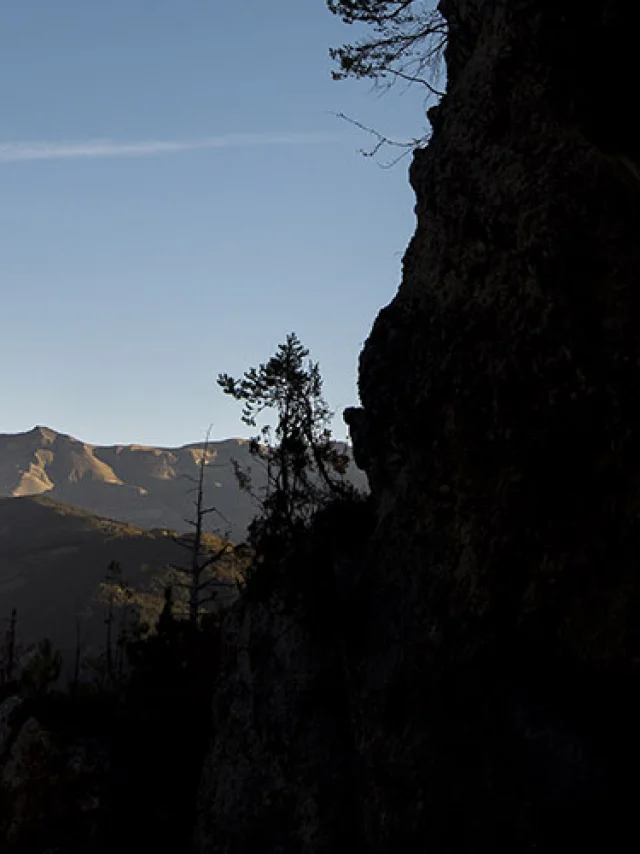 5 Spots VTT l'été