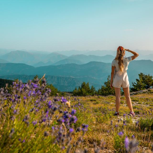 Escursioni in Costa Azzurra