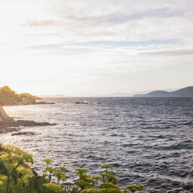 Passeggiata Presqu'ile De Giens