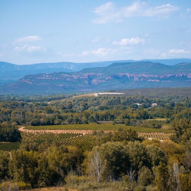 Randonnée Roquebrune Sur Argens