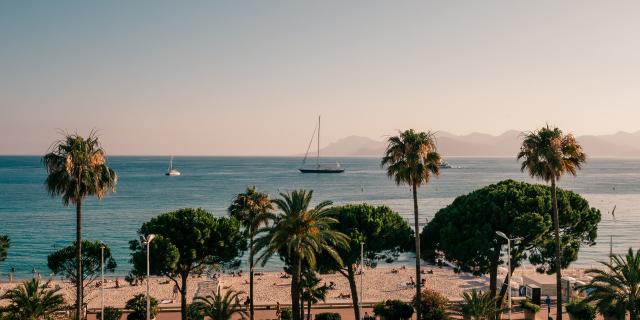 Cannes couché de soleil