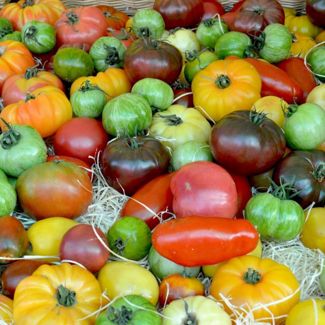 Marché Côte d'Azur France