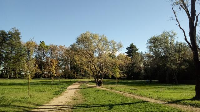 Parc Vaugrenier