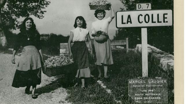 La Colle-sur-Loup, Capitale de la Rose