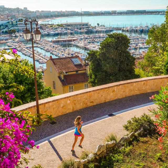 Hôtel Cannes Avec Jardin