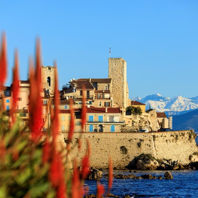 Stadtmauer von Antibes