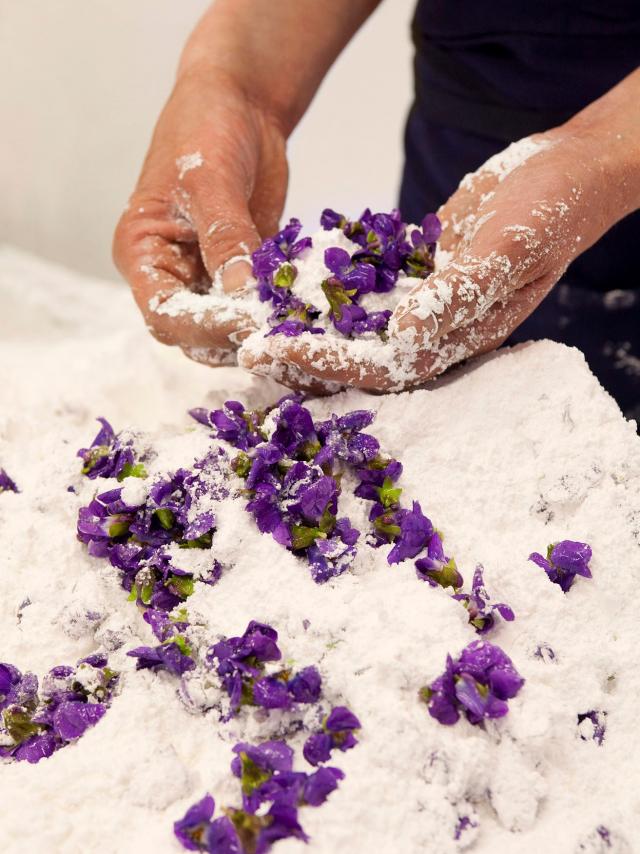 Produzione di petali di viola cristallizzati