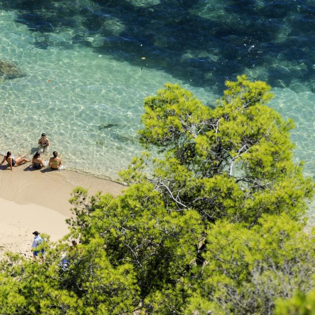 Vacances D'Été Cote D'Azur