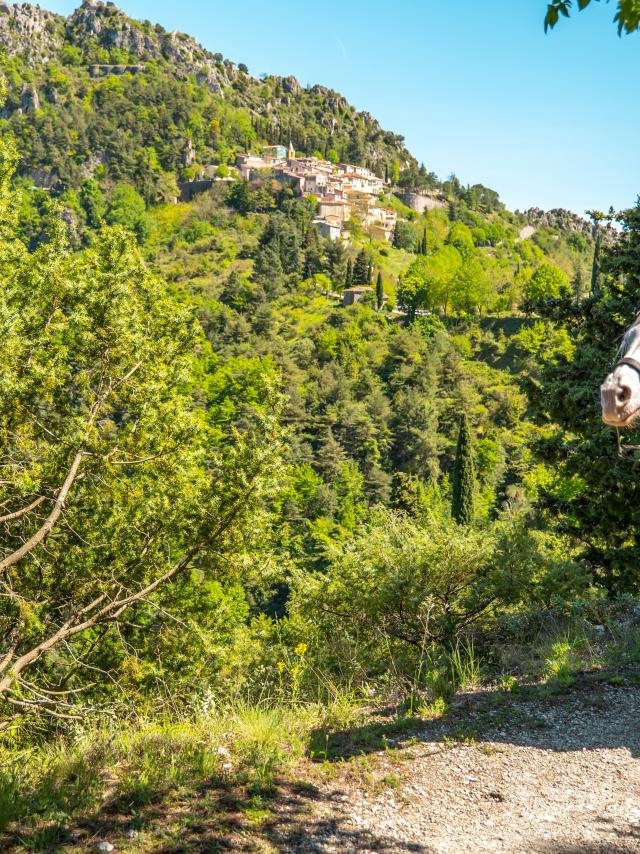 Micro-aventure à cheval