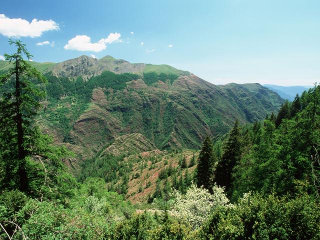 Les gorges du Cians