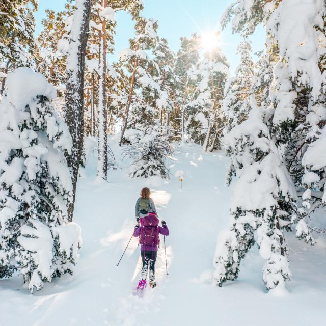 Passeggiata a Saint Etienne De Tinée Vacanze di Natale