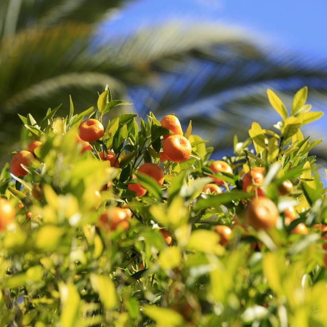 Jardin-Palais-Carnoles-Vacances-Printemps.jpg