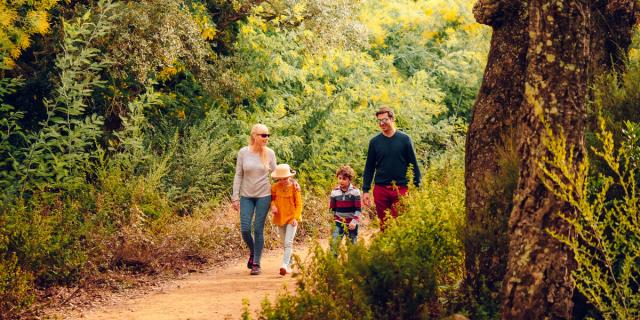 Passeggiata d'autunno