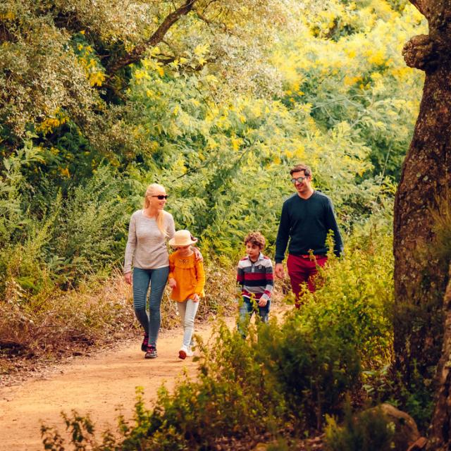 Passeggiata d'autunno