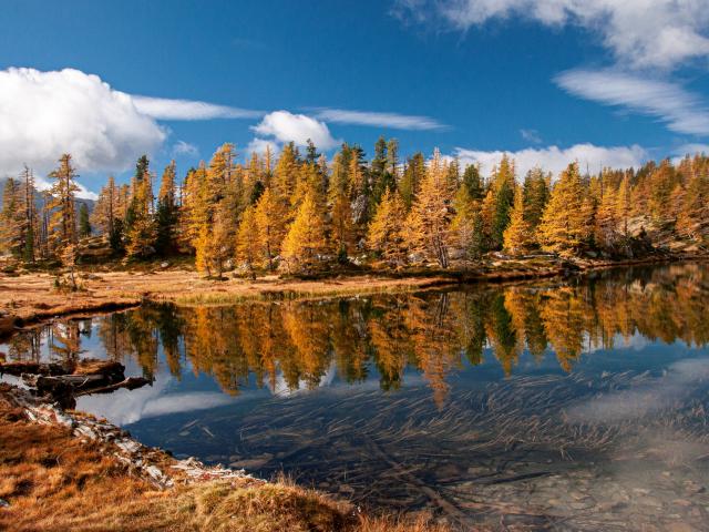 Lac Graveirettes en automne