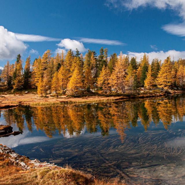 Lac Graveirettes im Herbst