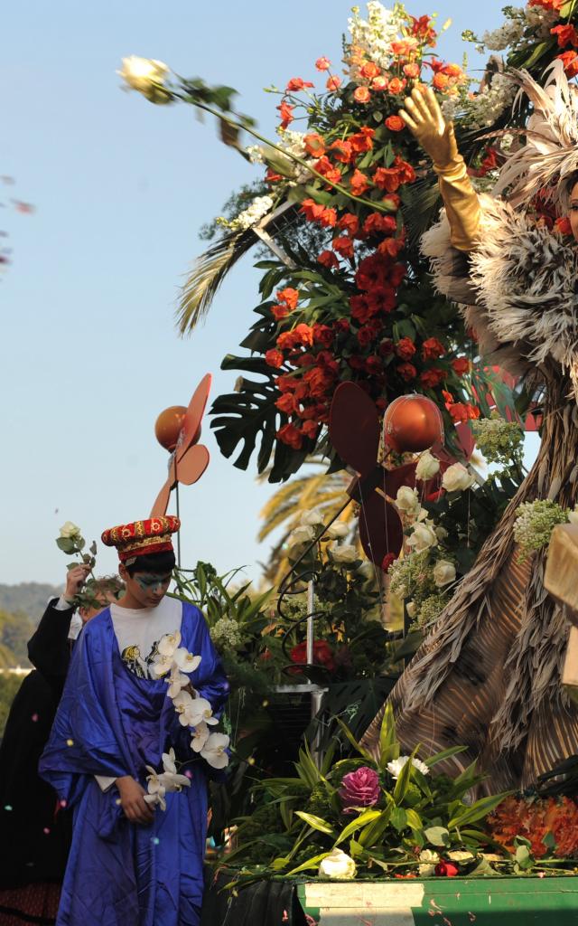 Nice Carnival 2009