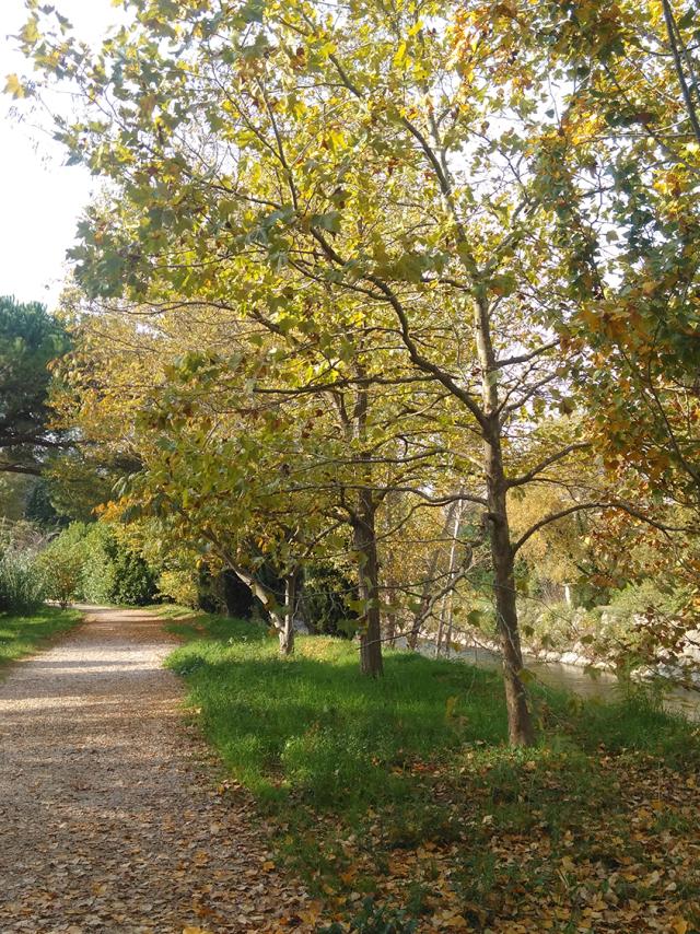 Balades et Bien-être à Villeneuve-Loubet