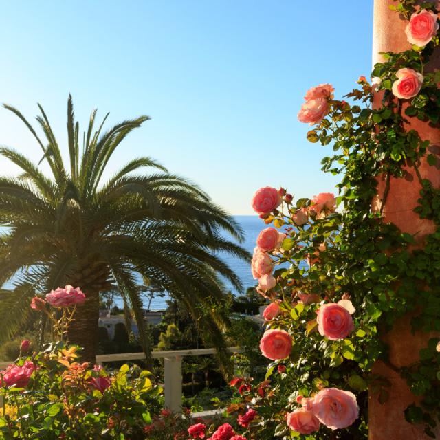 France, Alpes Maritimes (06), Saint Jean Cap Ferrat, villa Ephrussi de Rothschild, le jardin a la francaise