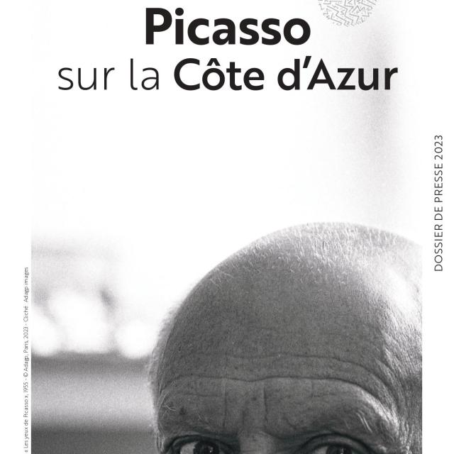 Couv. DP Picasso