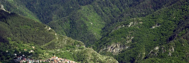 COMMUNE DE LA BOLLENE-VESUBIE UNE VUE GENERALE DU VILLAGE