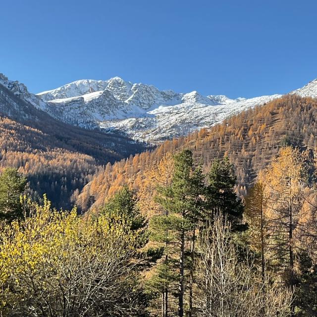 Casterino Und Mont Bego