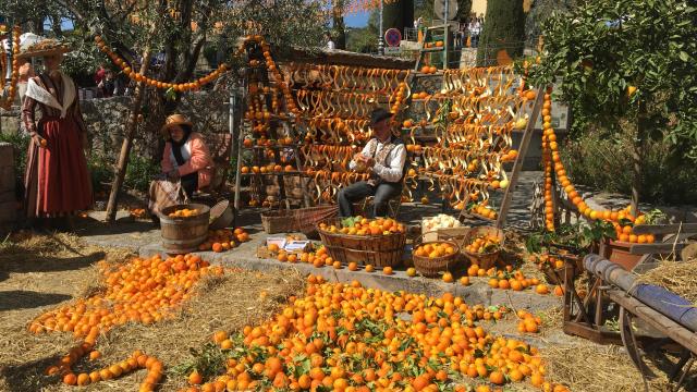 Orangenblütenfest in Bar-sur-Loup