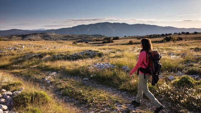 Wanderin auf dem Plateau von Calern