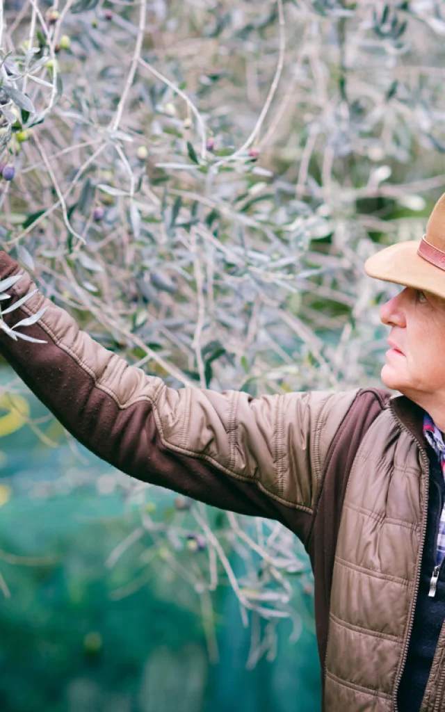 Producteurs Agritouristiques Moulin A Huile D Olive Alziari