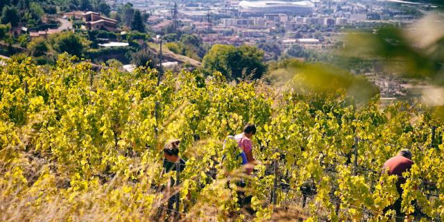 Domaine De La Source St Roman De Bellet Cote D Azur France Yannsavalle5 1