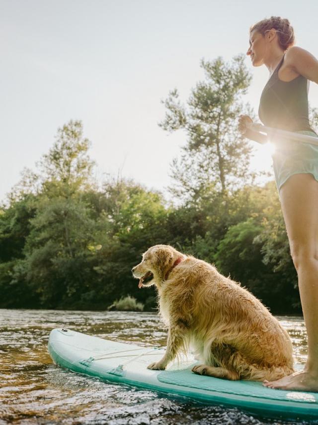 Photo of a young woman and her dog stand up paddling on the river; enjoying the beautiful, warm summer afternoon, far from the hustle of the city.