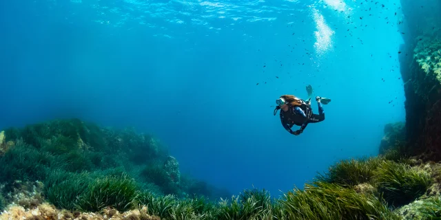 Plongee Sous Marine Cote D Azur France Greglecoeur5