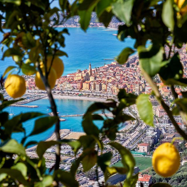 Maison Gannac Cote D'Azur France Yann Savalle 3