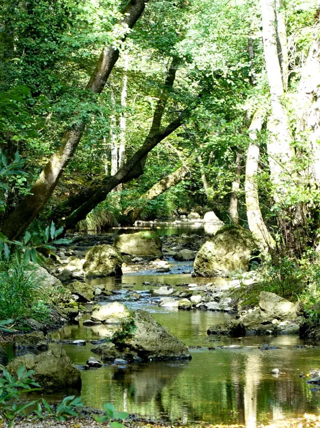 Rando1 La Brague Copyright Mairie De Valbonne