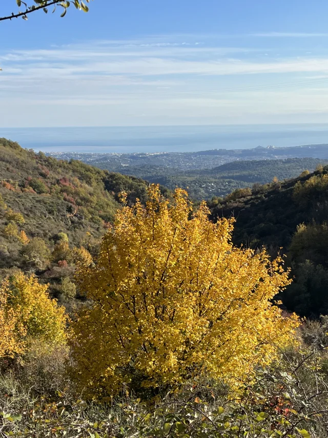 Rando2 Puy De Naouri A Tsl Copyright Casa