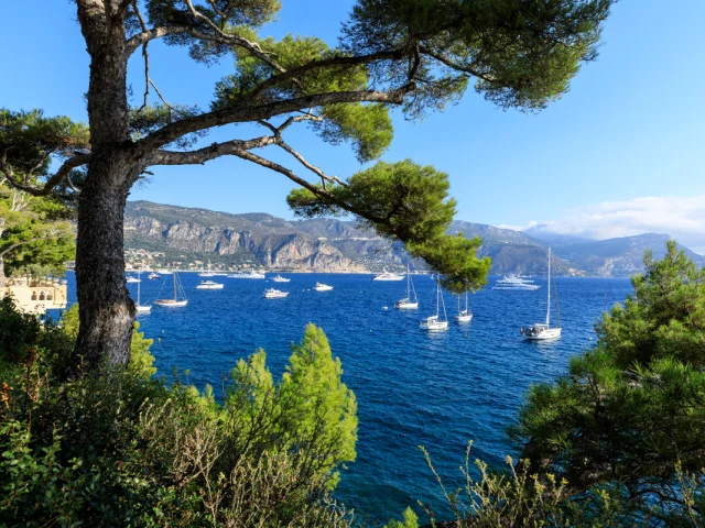 St Jean Cap Ferrat Cote D Azur France Tourisme Camillemoirenc03.jpg 1200px