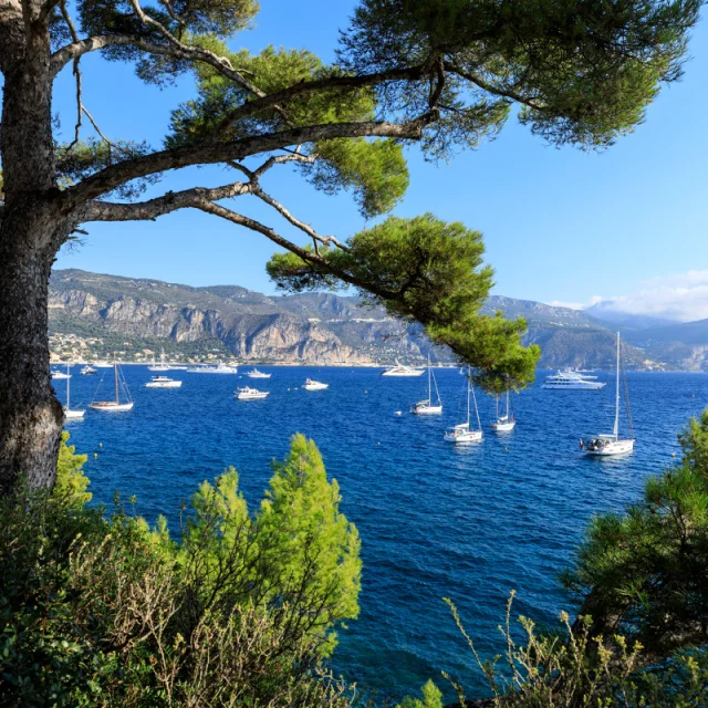 St Jean Cap Ferrat Cote D Azur France Tourisme Camillemoirenc03.jpg 1200px