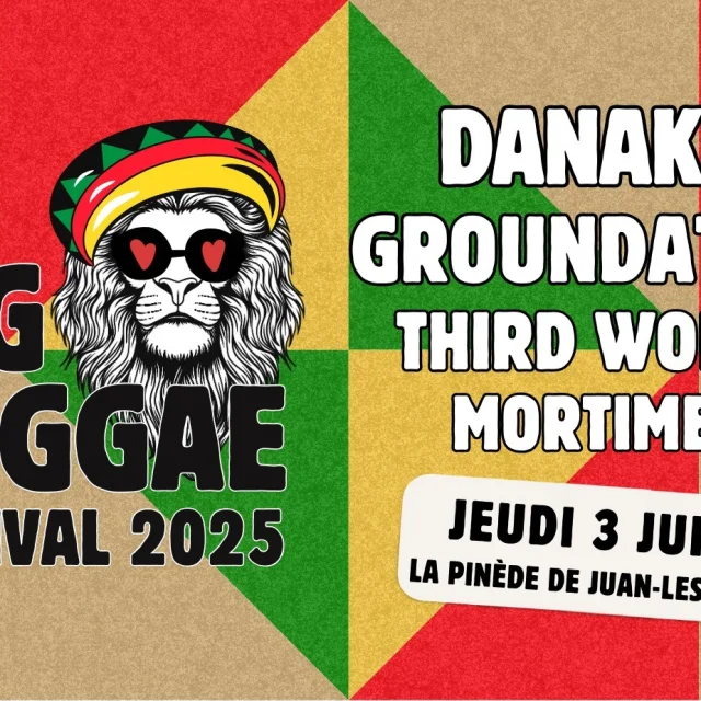 Big Reggae 28